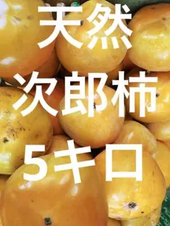 天然　次郎柿　5キロ 農薬不使用
