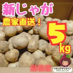 ​【農家直送・箱込み5kg】ホクホク新じゃが（男爵）！サイズ不揃いでお買い得のサムネイル