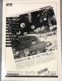 細野晴臣 PARAISO 写真