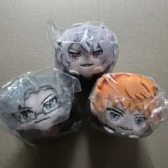 毒島メイソン理鶯 もちころ 毒島メイソン理鶯 もちころ 毒島メイソン理鶯 もちころりん 【再販