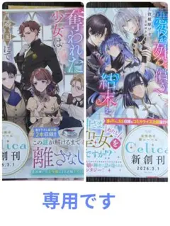 かもさん様 リクエスト 2点 まとめ商品