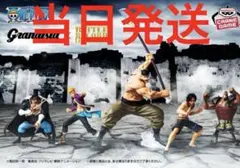 ワンピース 白ひげ海賊団フィギュア５種セット