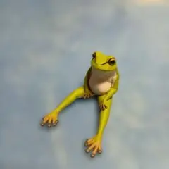 カエル　フィギュアのサムネイル