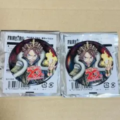 FAIRY TAIL 20周年 秋葉原 缶バッジ ナツ ルーシィ - メルカリ