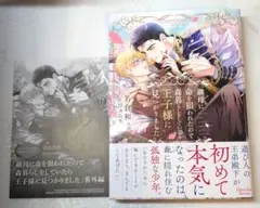 継母に命を狙われたので森暮らしをしていたら王子様に見つかりました 特典付き