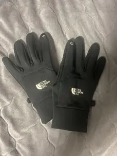 THE NORTH FACE イーチップグローブ ユニセックス ブラック