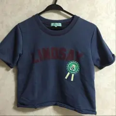 値下げしました!!  Lindsay トレーナー地半袖