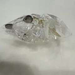 うちの子のけだまだま