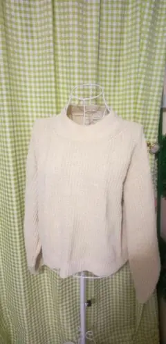 earth music&ecology クリーム色 ハイネックニット