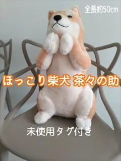 全長50cm 未使用タグ付 ほっこり柴犬 茶々の助 アミューズメント景品