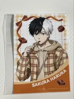 【値下げ】ウィンブレ　桜遥　バレンタイン　アニメイト　購入特典　ブロマイド