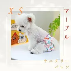 [XS] 당일발송 위생바지 마블 폴카 도트 강아지 산책 장난감 트레인 걸