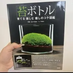 Item thumbnail for item 4d1665df-4108-4471-bc59-55cdcef7e3a7