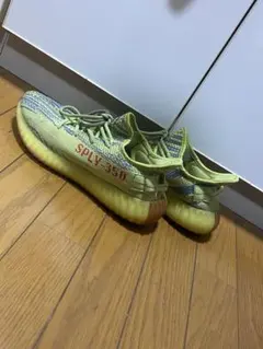 yeezy boost 350 v2