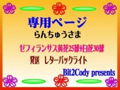 ゼフィランサス黄花25球+白花30球