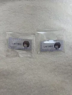 不二周助 お名前バッジコレクション 新テニスの王子様 青学