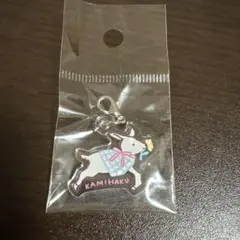 紙博 in 東京 vol.13 入場特典 チャーム 252%