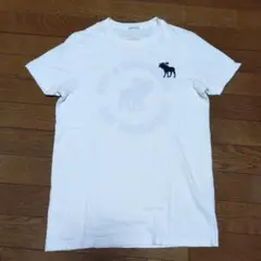 Abercrombie & Fitch ホワイト Tシャツ S