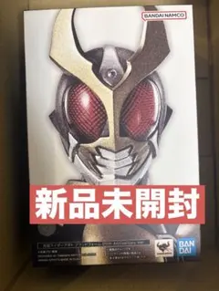 真骨彫 アギト 25th 要確認 - メルカリ