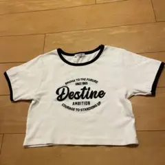 INGNI リブTシャツ　【備品】