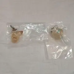 ポケモン めじるしアクセサリー ポケピース