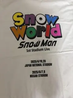 SnowMan SnowWorld 1st スタジアム　ロゴTシャツ　洗濯済み