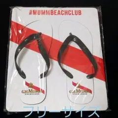 ビーチサンダルフリーサイズ