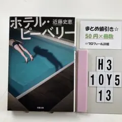 ホテル・ピーベリー H3-5Y1013