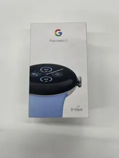 Google Pixel Watch 2 Polished Silver