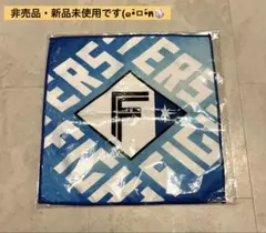 【非売品・新品未開封】日本ハムファイターズ　スイングタオル