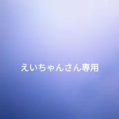 えいちゃんさん専用