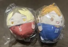 ハイキュー くじメイト ぬいくじ D賞　 ふわコロりん 日向 孤爪 セット