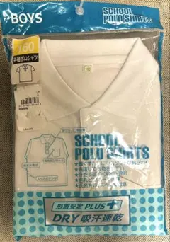 Item thumbnail for item 22fe4c78-e1fb-4896-a425-650642e2e04b