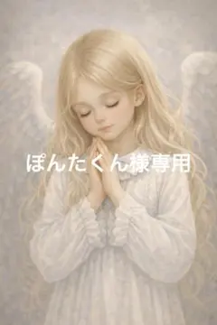 ぽんたくん様専用