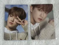 straykids スキズ チャンビン　dicon