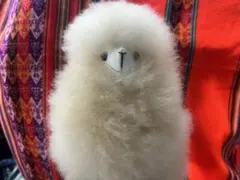 ララ様専用ページ