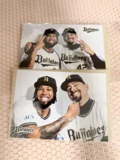 オリックスバファローズ 選手フォト コンビver. エスピノーザ マチャド