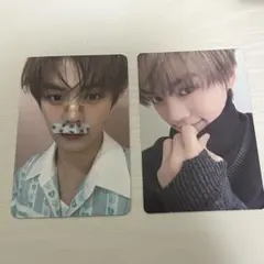 zb1 blue paradise 動物絆創膏 ギュビン