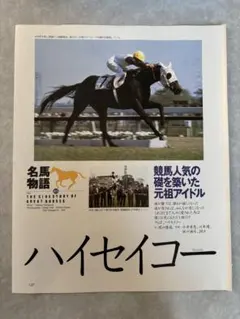 2026年最新】ハイセイコーの人気アイテム - メルカリ