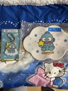 【お値下げしました！】ハンギョドン トレイ＆アクリルキーホルダーセット