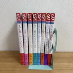 きっと愛だから、いらない 全巻セット