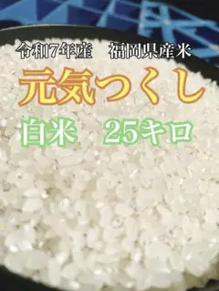 2026年最新】元気つくしの人気アイテム - メルカリ