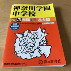 いっちゃん様　専用です