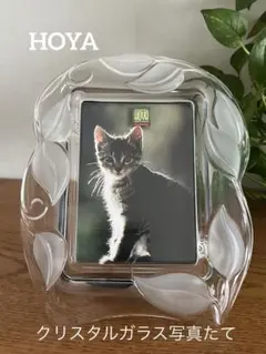 ★新品・未使用★HOYA CRYSTAL写真立て