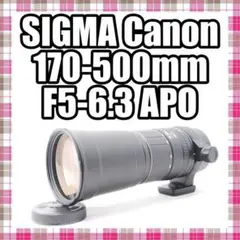 500mm レンズ(ズーム)