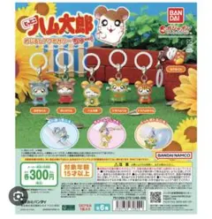 とっとこハム太郎 めじるしアクセサリー ちゅー！ トラハムちゃん