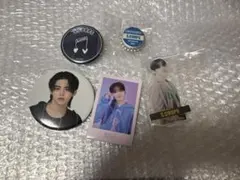 SEVENTEEN FOLLOW エスクプス 缶バッジ