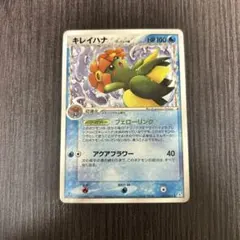 ラフレシア δ-デルタ種 キレイハナ PCG 2枚セット - メルカリ