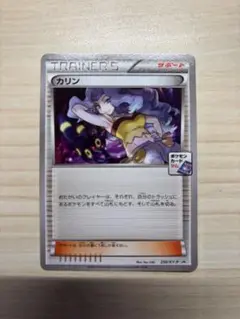 カリン　256/XY-P