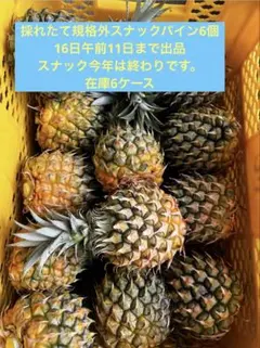 お得甘い樹実り完熟スナックパイン❣️生産量日本一の東村の